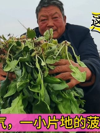 详细阅读:胖吕老爹(胖吕老爹2025年的视频) 胖吕老爹(胖吕老爹2025年的视频)